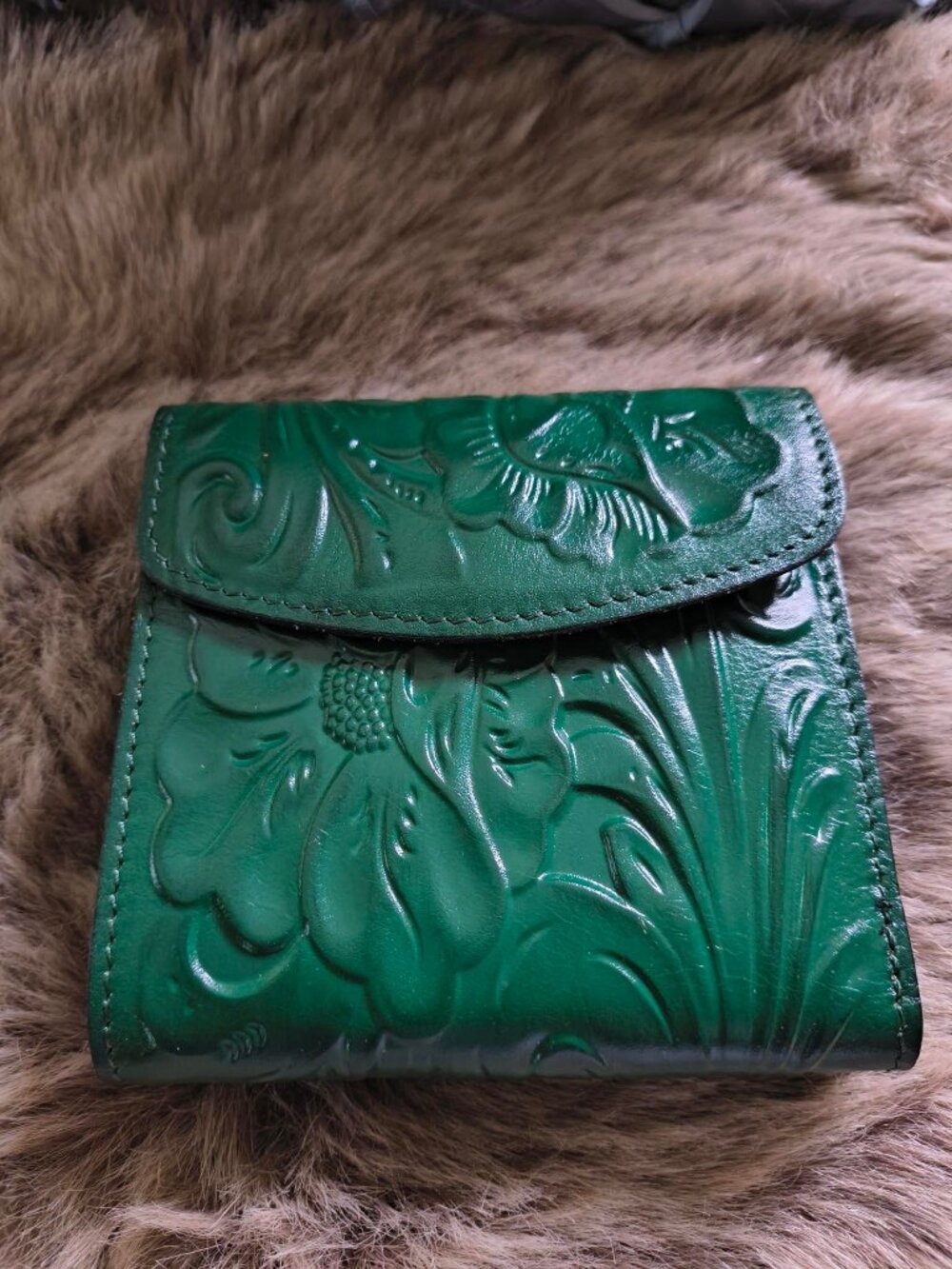 Patricia Nash Wallet, Green